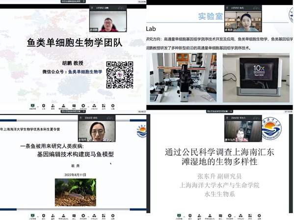 伟德国际1946源于英国