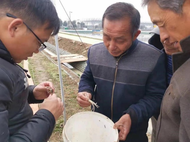 伟德国际1946源于英国