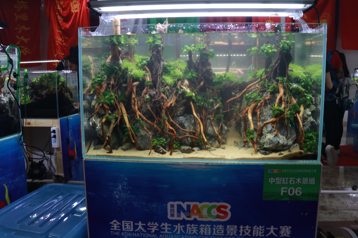 伟德国际1946源于英国