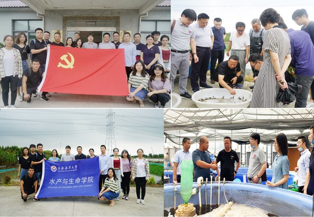 伟德国际1946源于英国