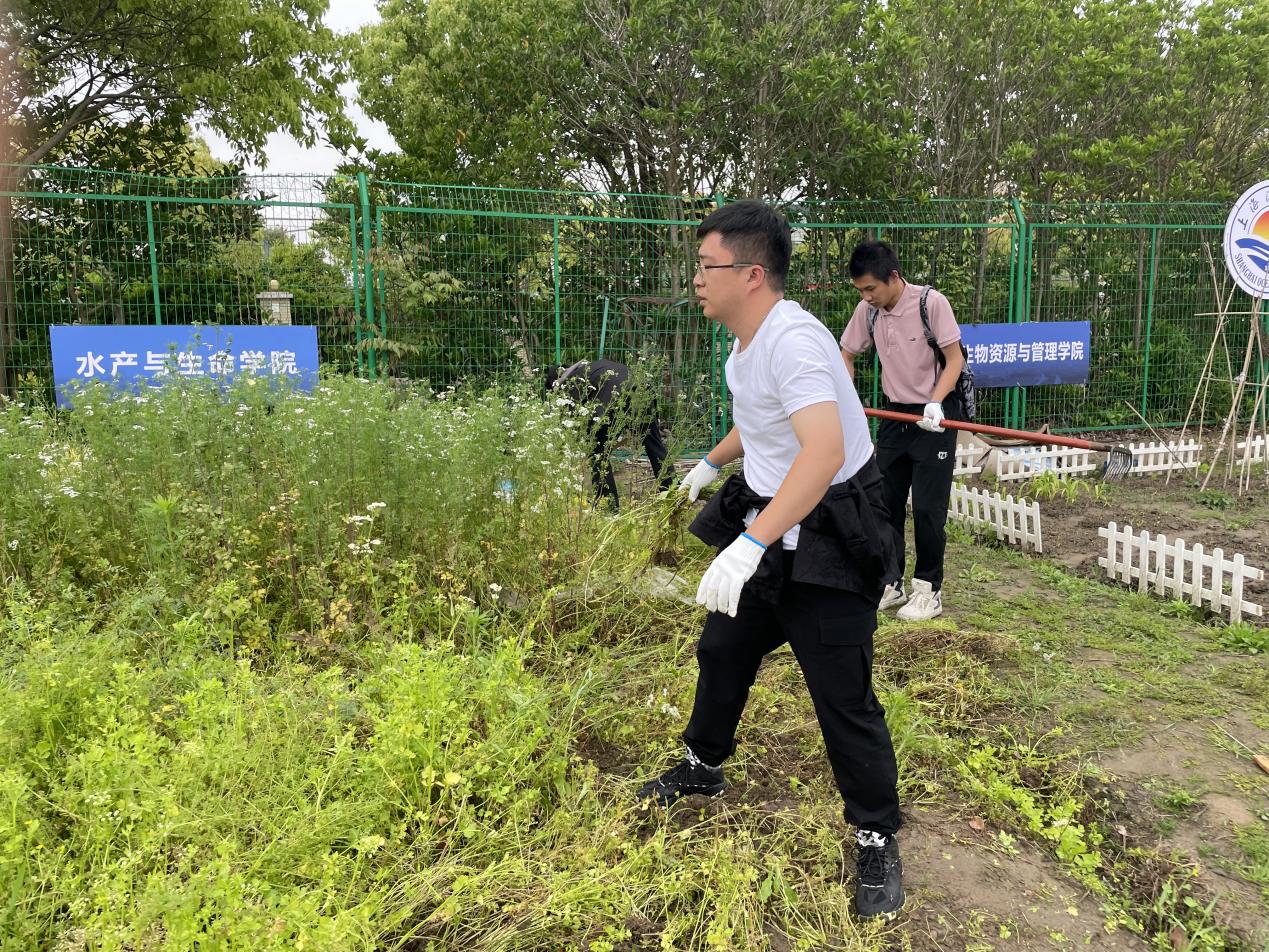 伟德国际1946源于英国