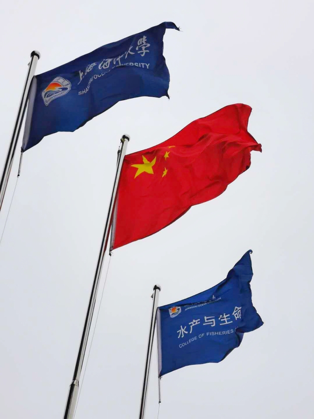 伟德国际1946源于英国